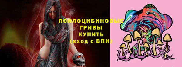 дмт Гусь-Хрустальный