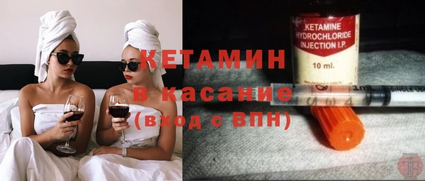 дживик Ельня