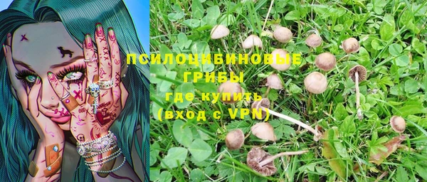 мескалин Дмитров